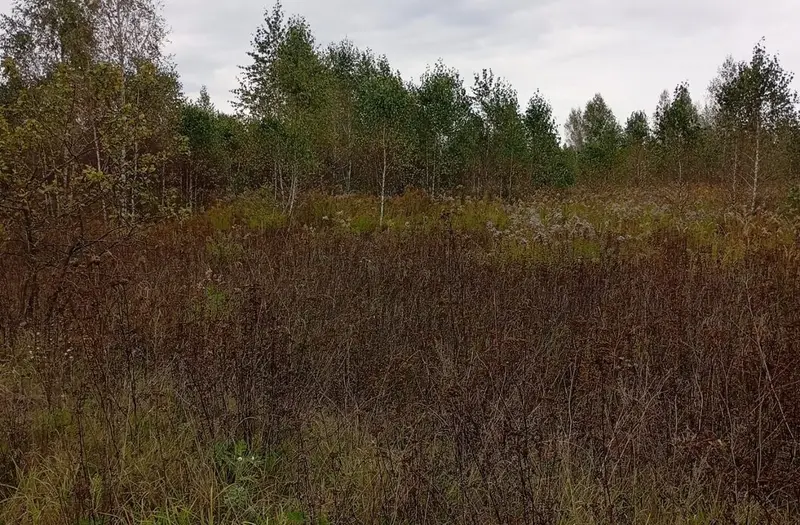 Комерція — лот №1275616