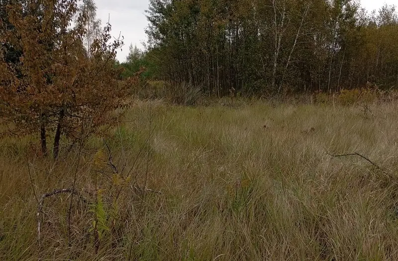 Інше — лот №1275617