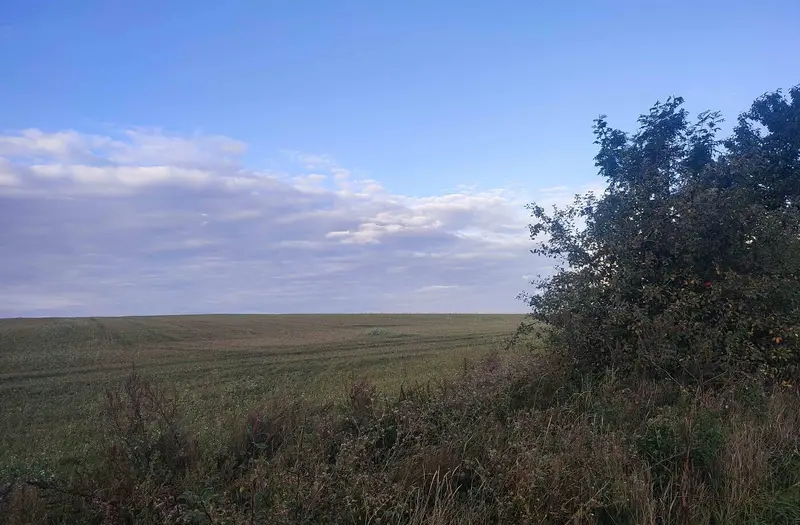 С/Х — лот №1275713
