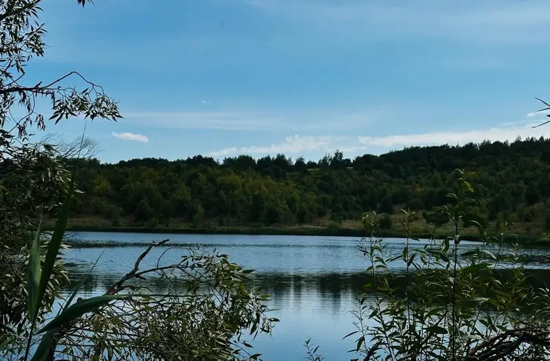 С/Х — лот №1275897