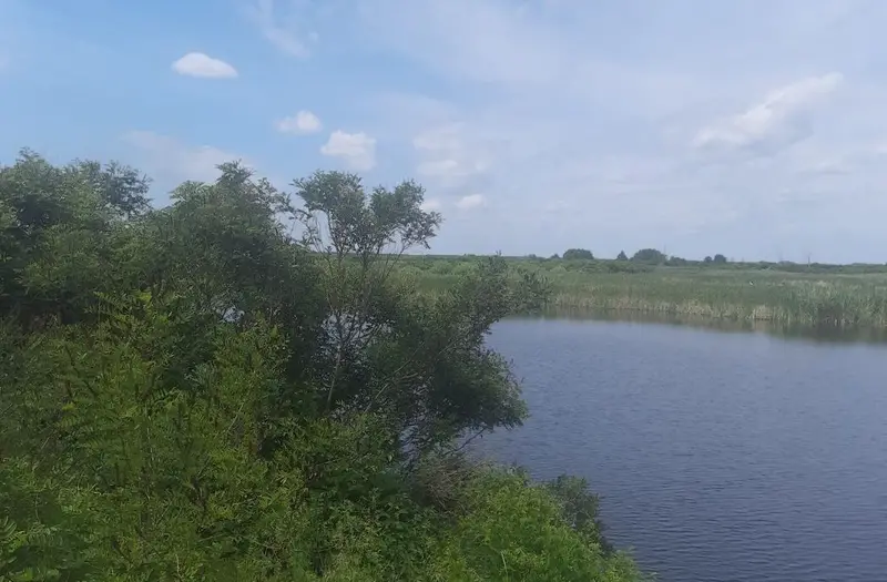 С/Х — лот №1275864