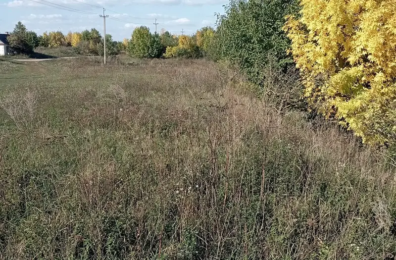 С/Х — лот №1276022