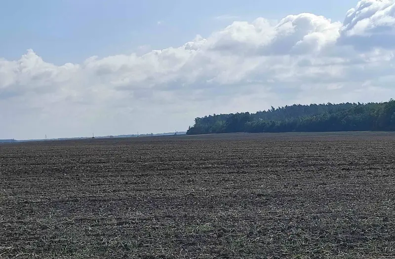 С/Х — лот №1276210