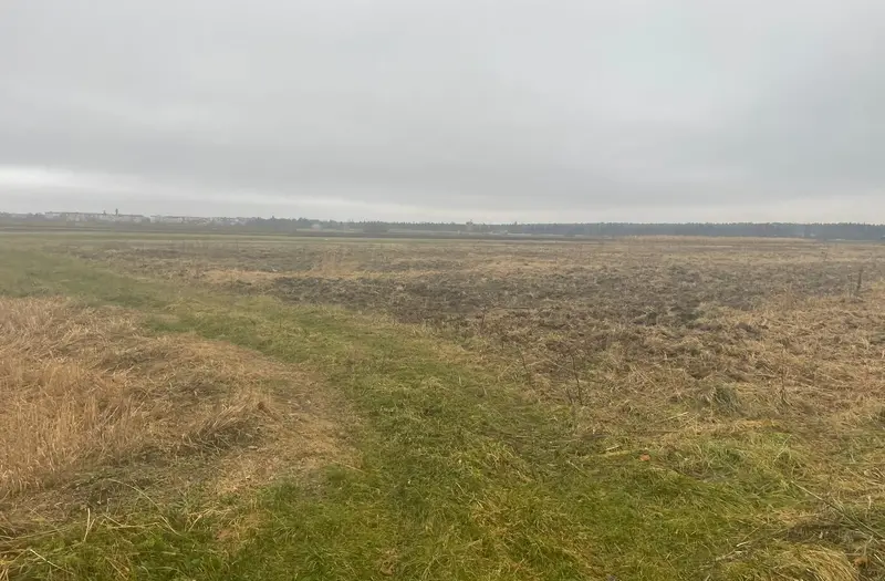 Комерція — лот №1276874