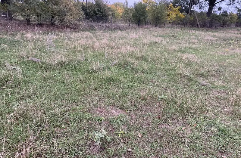 С/Х — лот №1277240