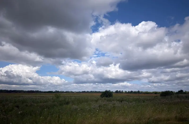 Житлова — лот №1258799