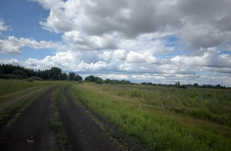 С/Х — лот №1258773