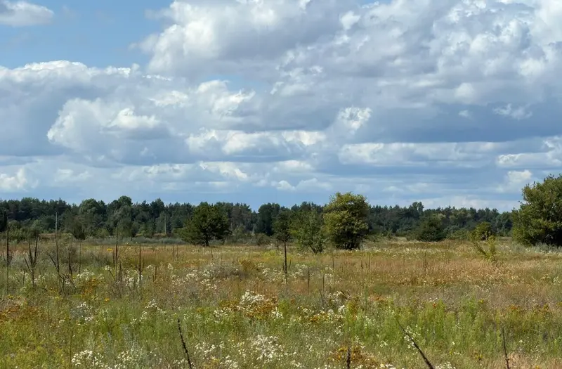 С/Х — лот №1263445