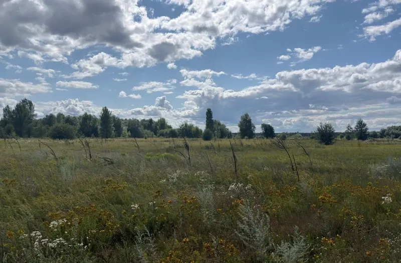 С/Х — лот №1263482