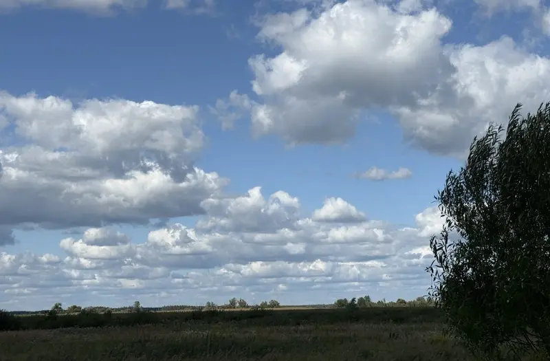 С/Х — лот №1273507