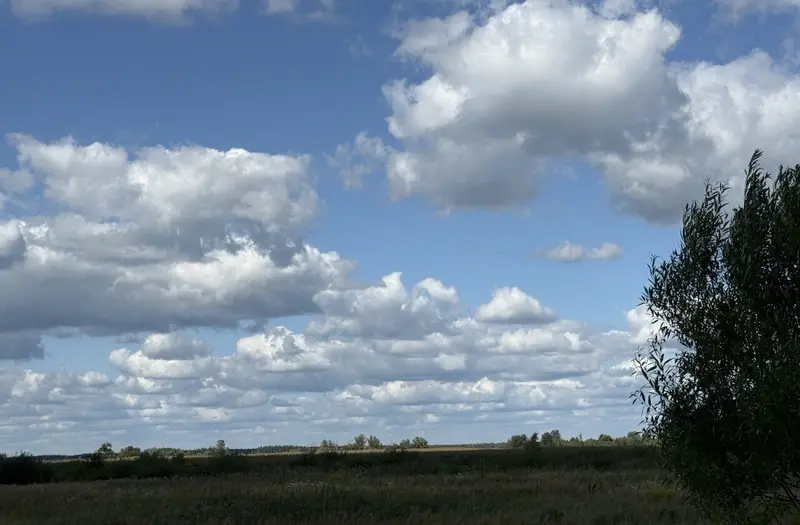 С/Х — лот №1273952