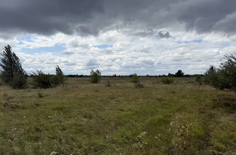 С/Х — лот №1272369