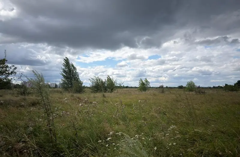 С/Х — лот №1272343