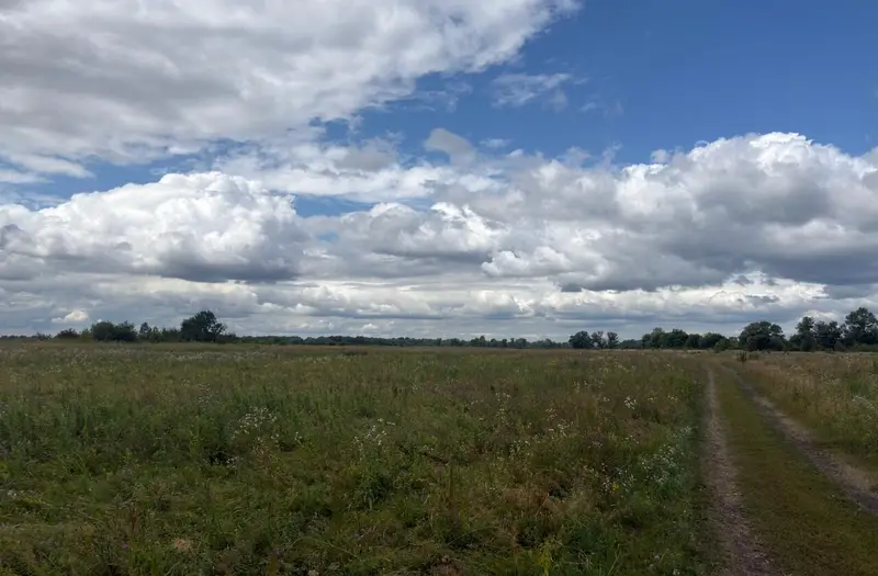 С/Х — лот №1272317