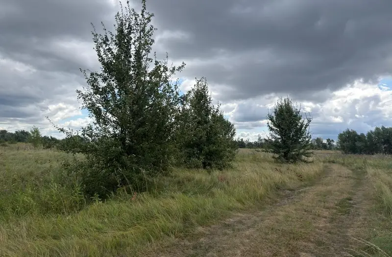 С/Х — лот №1272292